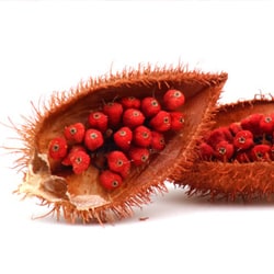 Bixa oranella extrakt