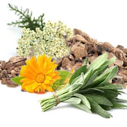 Phytoöstrogen-Komplex