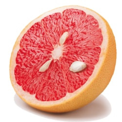 Grapefruitkernextrakt
