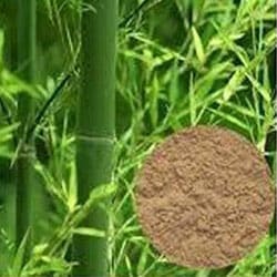 Bambusextrakt