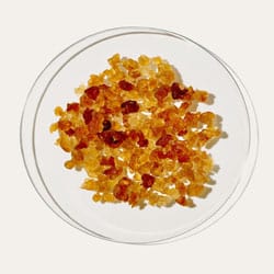 Lactobacillus ferment