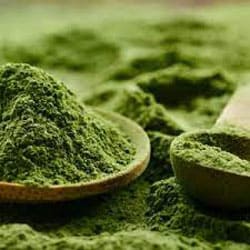 Spirulina Algen