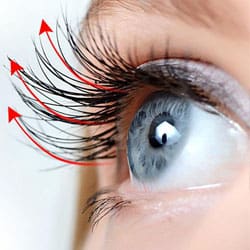 Wimper stimulierende pflanzliche Peptid