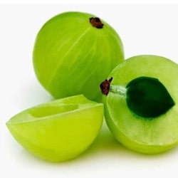 Traubenfruchtextrakt