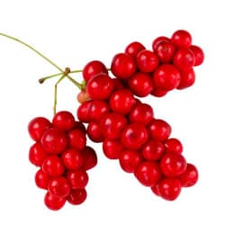 Schisandrafruchtextrakt